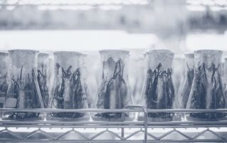 5 Tipps für den Auftritt vor der Kamera