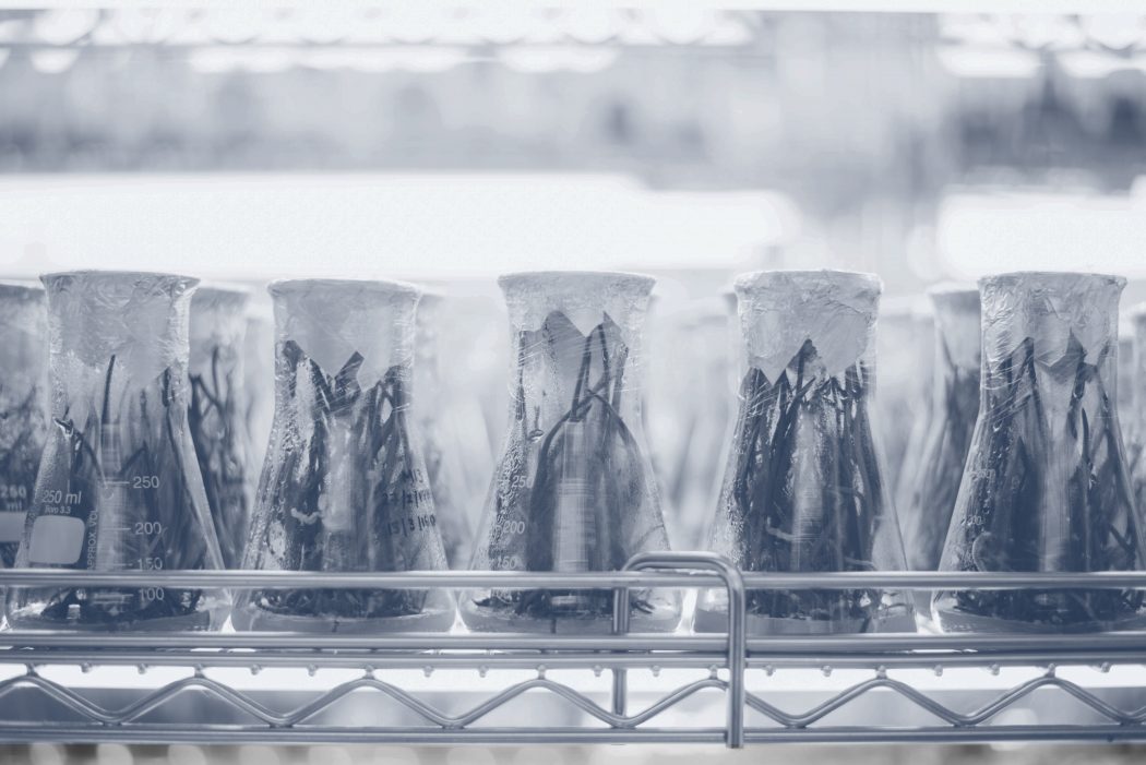 5 Tipps für den Auftritt vor der Kamera